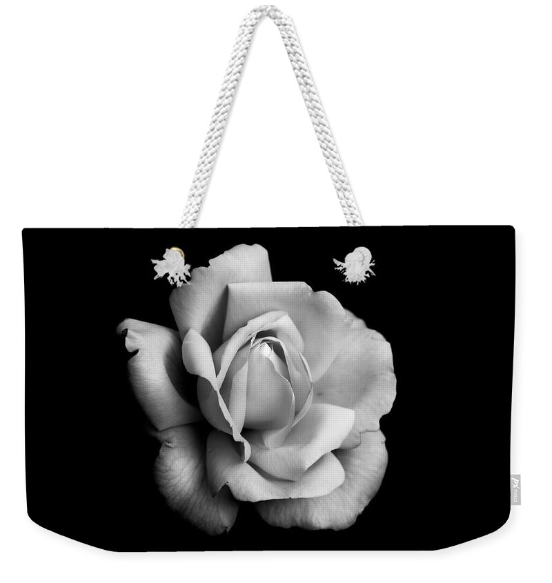 Rose Weekender Tote Bag featuring the photograph Black and White Rose Bloom by Carrie Hannigan