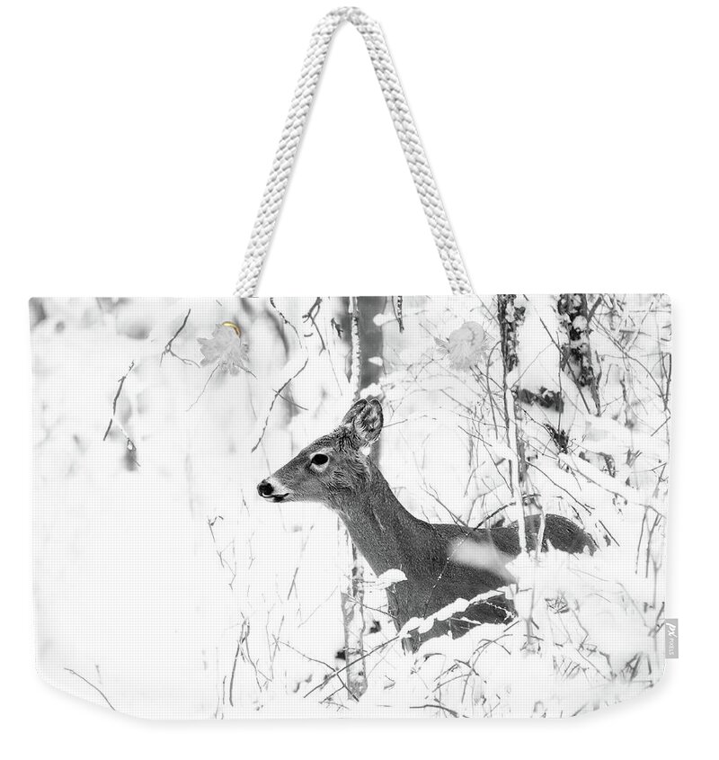 Black And White Weekender Tote Bag featuring the photograph Black And White Winter Deer by Dan Sproul