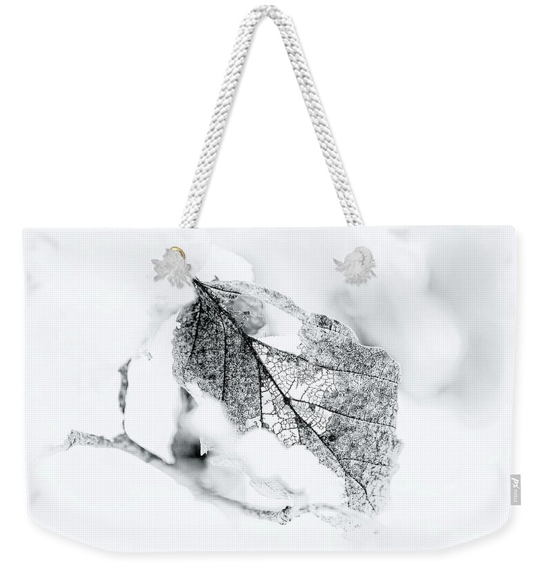 Black And White Weekender Tote Bag featuring the photograph Black and White Winter Leaf Filigree by Carol Senske
