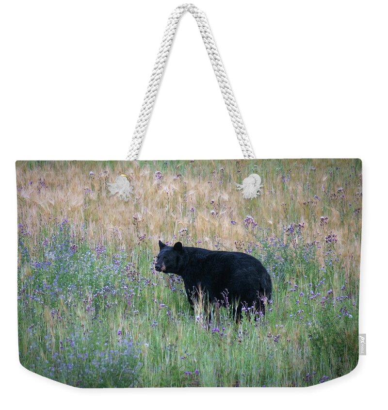 Black Bear Weekender Tote Bag featuring the photograph Black Bear in Field of Flowers by Mary Lee Dereske
