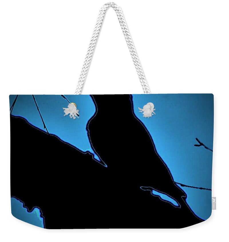 Silhouette Weekender Tote Bag featuring the photograph Black Bird by Alida M Haslett