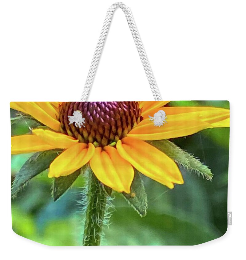 Flower Weekender Tote Bag featuring the photograph Black Eyed Susan Macro by Jeff Iverson