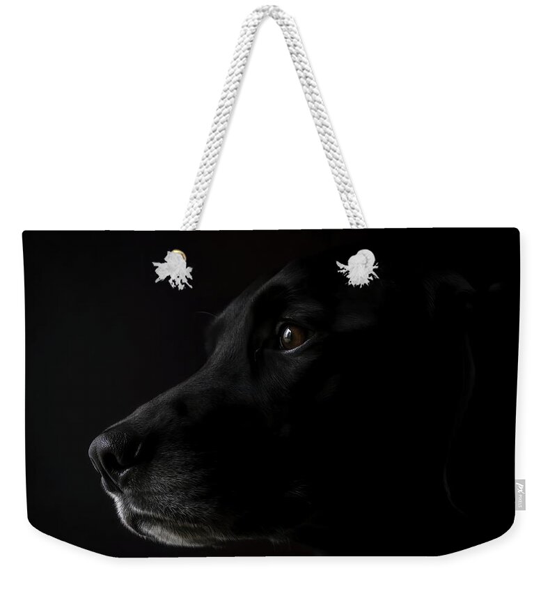 Black Lab Weekender Tote Bag featuring the photograph Black Lab by Holly Ross