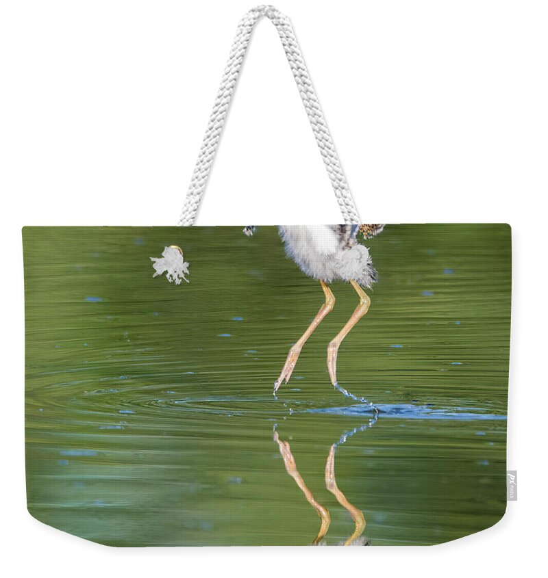 Black-necked Stilt Weekender Tote Bag featuring the photograph Black-necked Stilt Chick 2500-060622-2 by Tam Ryan