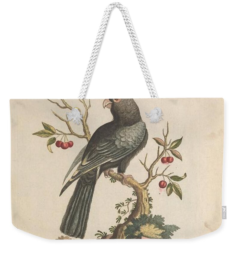Parrot Weekender Tote Bag featuring the mixed media Black Parrot of Madagascar by World Art Collective