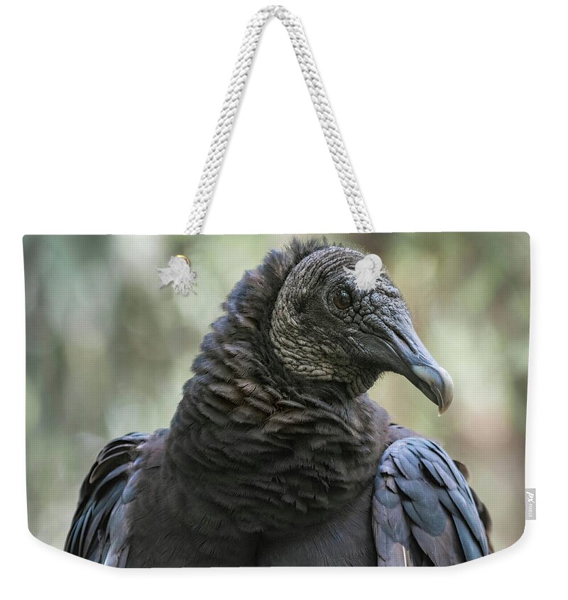 Black Vulture Weekender Tote Bag featuring the photograph Black Vulture a Bird of Carrion by Rebecca Herranen