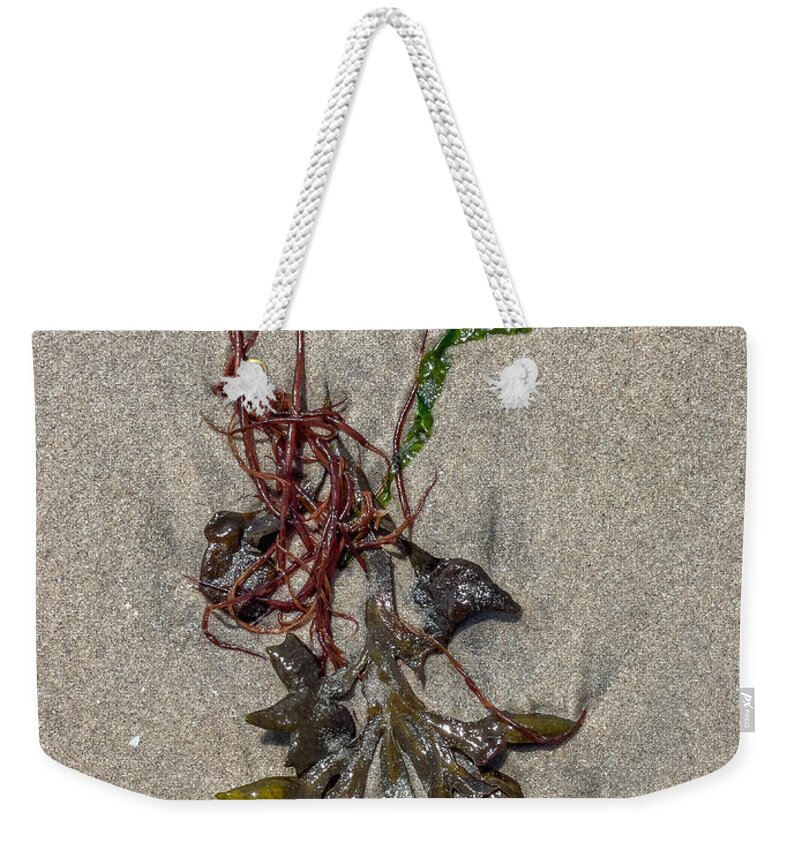 Seaweed Weekender Tote Bag featuring the photograph Bladder Weed in Sand by Cate Franklyn