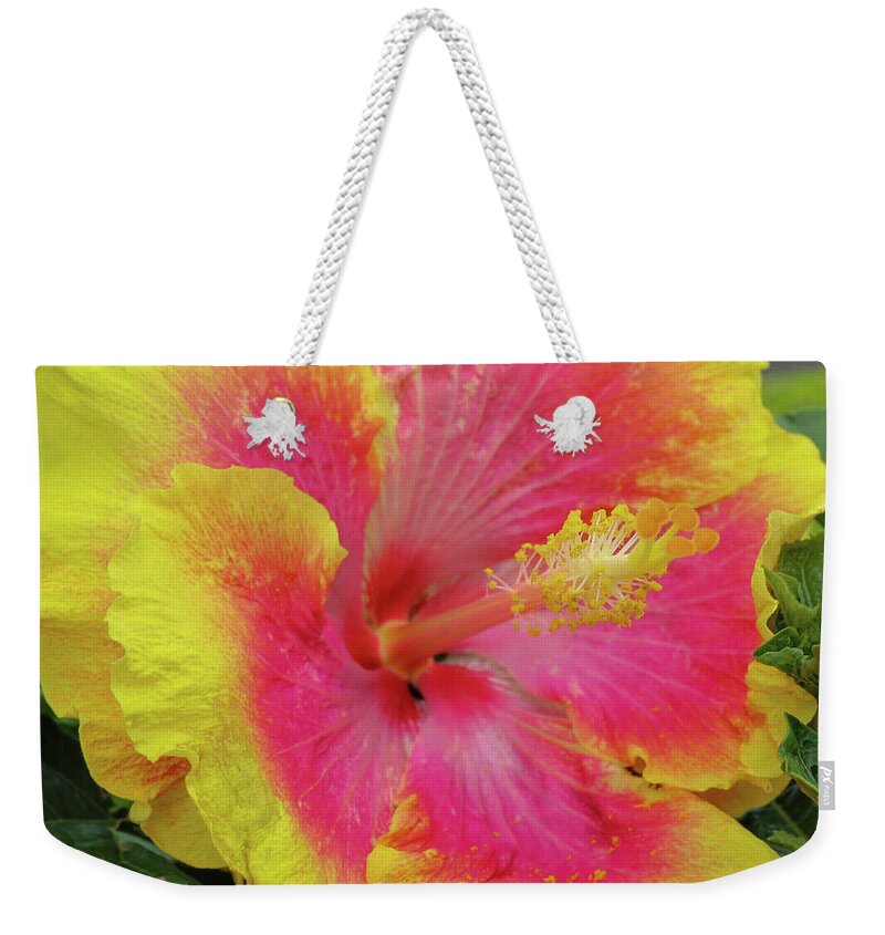 Hibiscus Weekender Tote Bag featuring the photograph Bleeding Pink by Tony Spencer