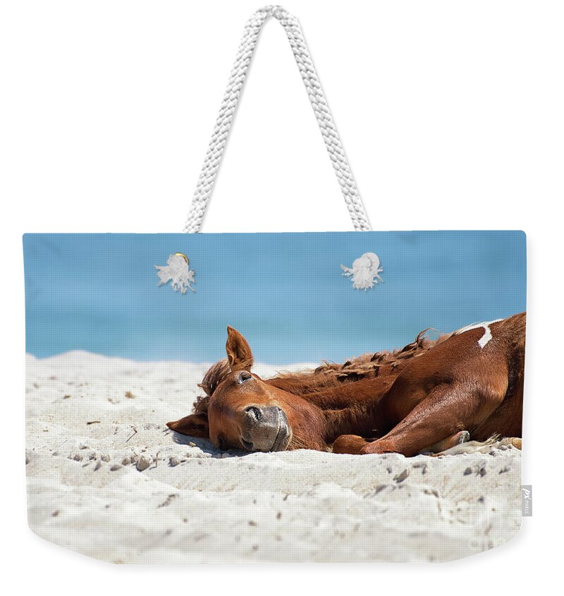 New Year Resolutions Weekender Tote Bag featuring the photograph Bliss - Catching some sun by Rehna George