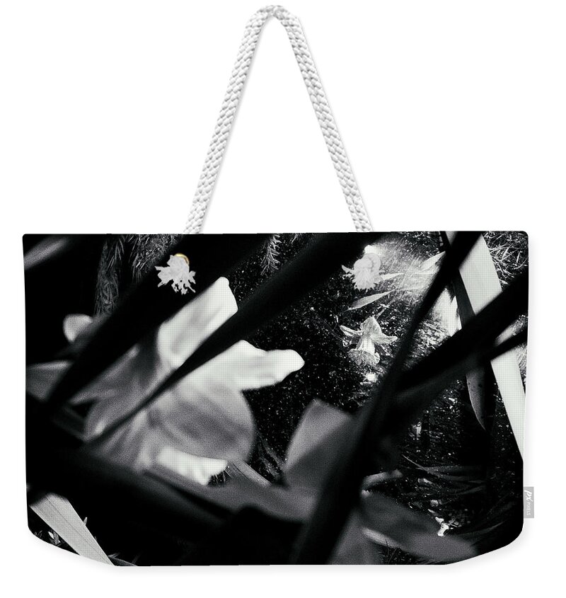 Floral Weekender Tote Bag featuring the photograph Bloomed in Light by Scott Wyatt