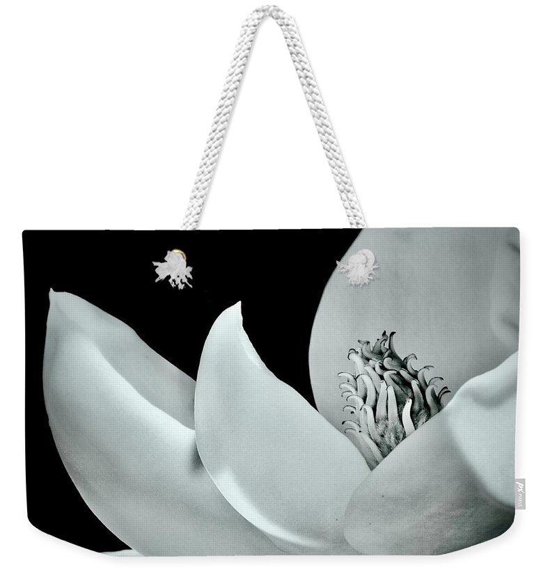 Bloom Weekender Tote Bag featuring the photograph Blooming Elegance by Sarah Lilja
