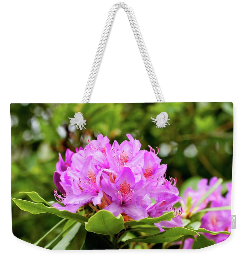 Rhododendrons Weekender Tote Bag featuring the photograph Blooming Rhododendron by Tanya C Smith