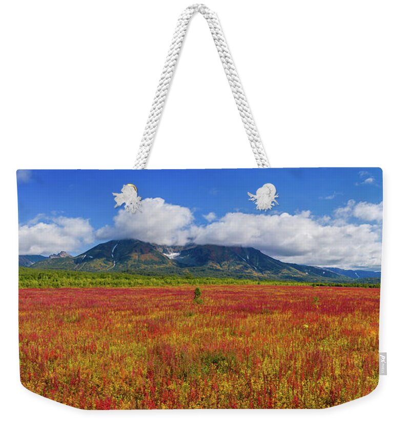 Flower Weekender Tote Bag featuring the photograph Blooming willow-herb near Vachkazhets by Mikhail Kokhanchikov