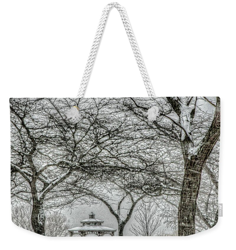 Charles Daley Park Weekender Tote Bag featuring the photograph Blow, Blow, Thou Winter Wind by Marilyn Cornwell