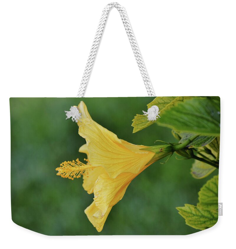 Flower Weekender Tote Bag featuring the photograph Blow Your Horn Hibiscus Flower by Gaby Ethington