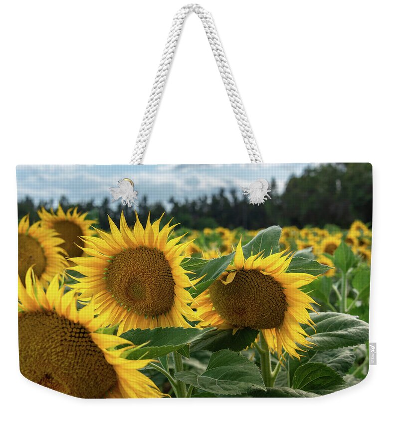 Flowers Weekender Tote Bag featuring the photograph Blowin' in the Wind by Laura Macky
