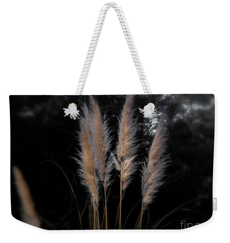 Grass Weekender Tote Bag featuring the photograph Blowing in the Wind by Judy Hall-Folde