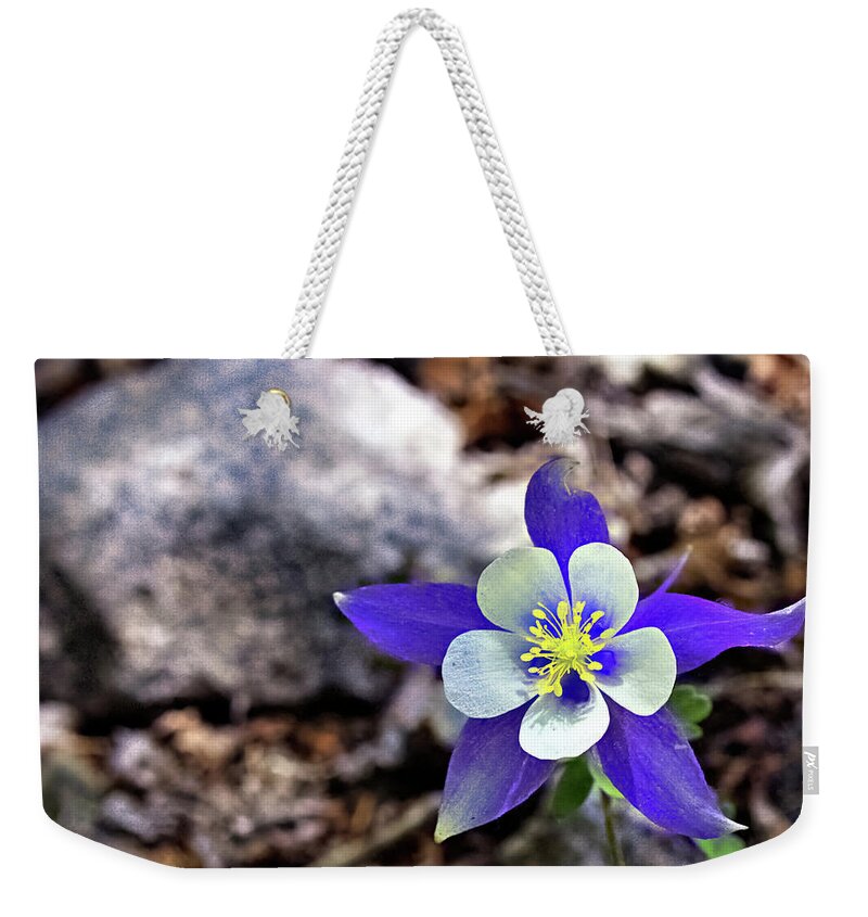 Columbine Weekender Tote Bag featuring the photograph Blue Columbine by Bob Falcone