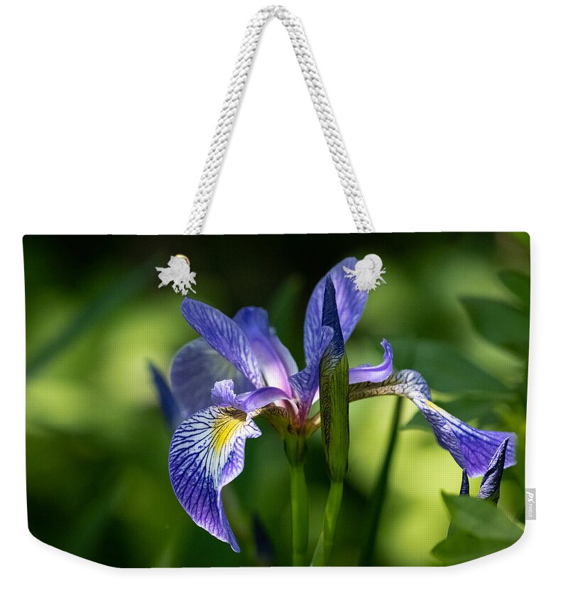 Flower Weekender Tote Bag featuring the photograph Blue Flag Iris by Linda Bonaccorsi