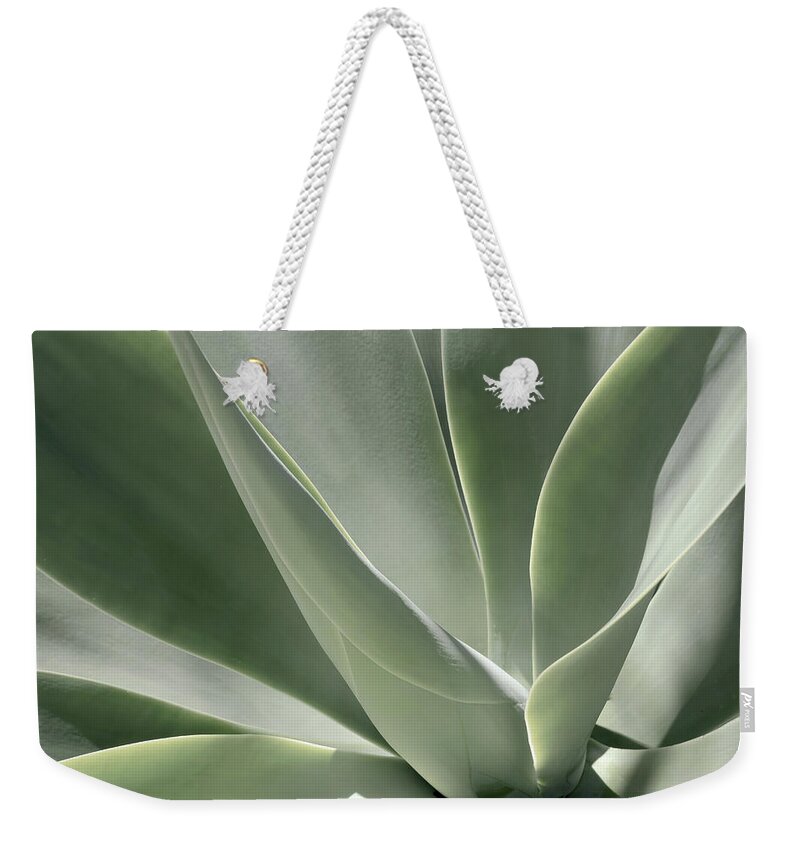 Agave Weekender Tote Bag featuring the photograph Blue Flame Agave 3 by Alison Frank