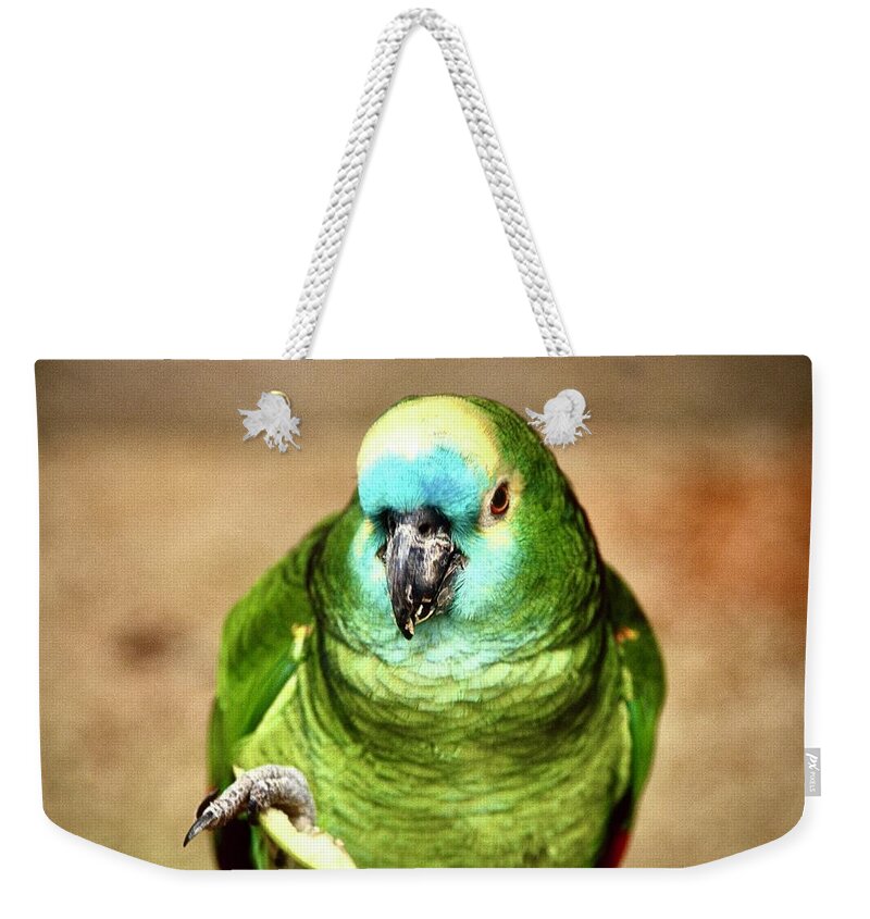  Weekender Tote Bag featuring the photograph Blue Fronted Amazon Parrot by Gordon James