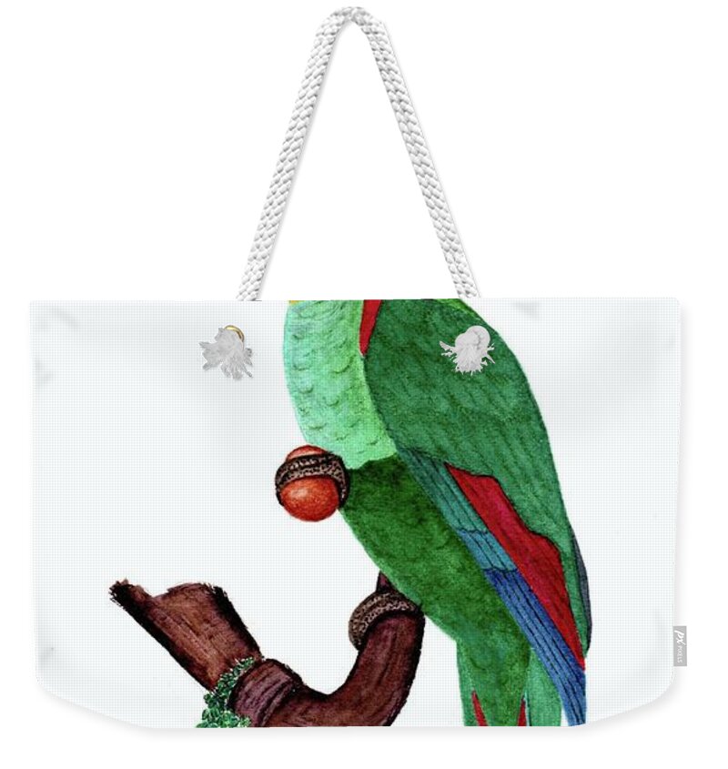 Blue Fronted Amazon Parrot Weekender Tote Bag featuring the painting Blue Fronted Parrot Day 5 Challenge by Donna Mibus