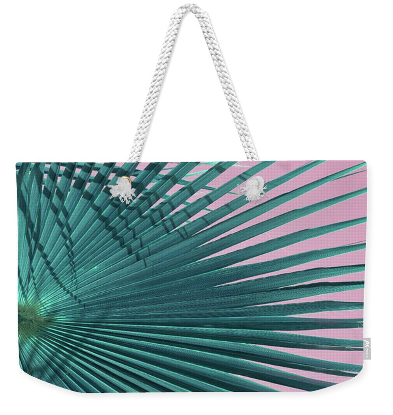 Palm Leaf Weekender Tote Bag featuring the photograph Blue-green palm leaf and pink sky, beach season by Adriana Mueller
