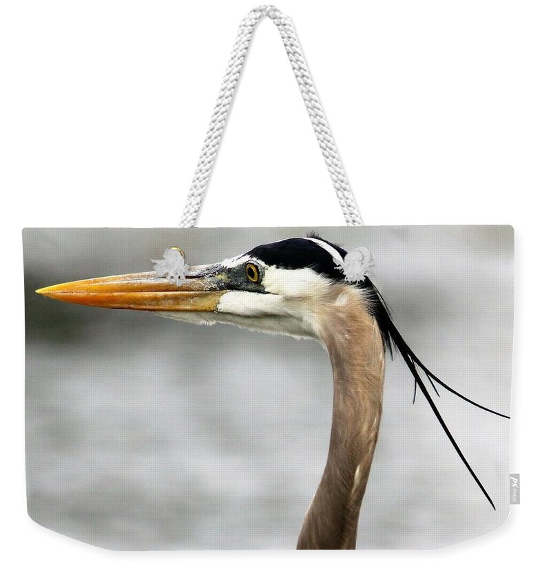Blue Weekender Tote Bag featuring the photograph Blue Heron Focused On His Prey by Philip And Robbie Bracco