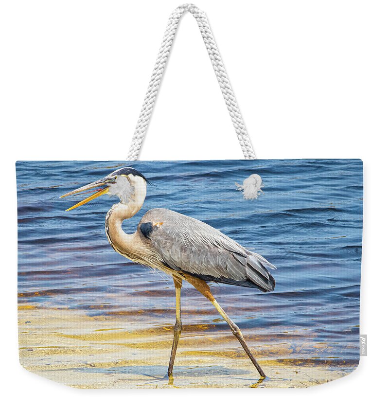 Blue Heron Weekender Tote Bag featuring the photograph Blue Heron Stroll by Blair Damson