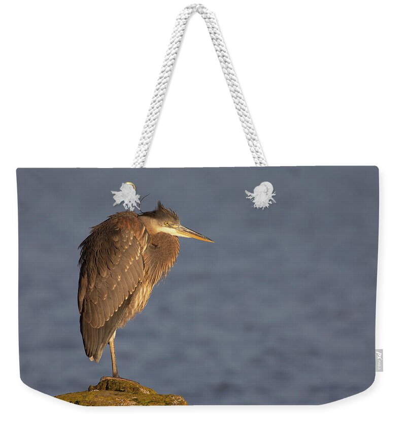 Blue Heron Weekender Tote Bag featuring the photograph Blue Heron Sunset Horizontal by Michael Rauwolf