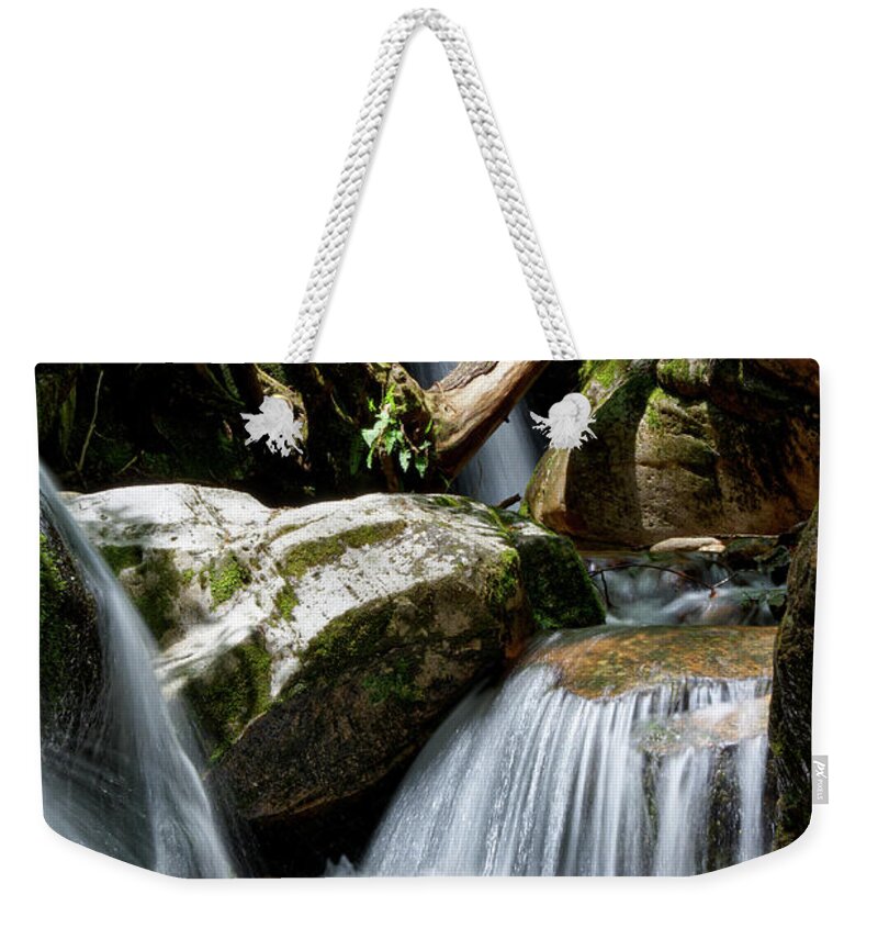Nature Weekender Tote Bag featuring the photograph Blue Hole Falls 11 by Phil Perkins