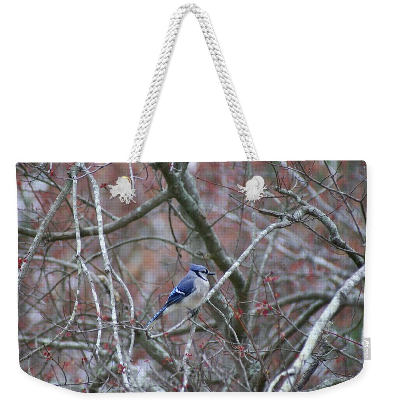  Weekender Tote Bag featuring the photograph Blue Jay by Heather E Harman