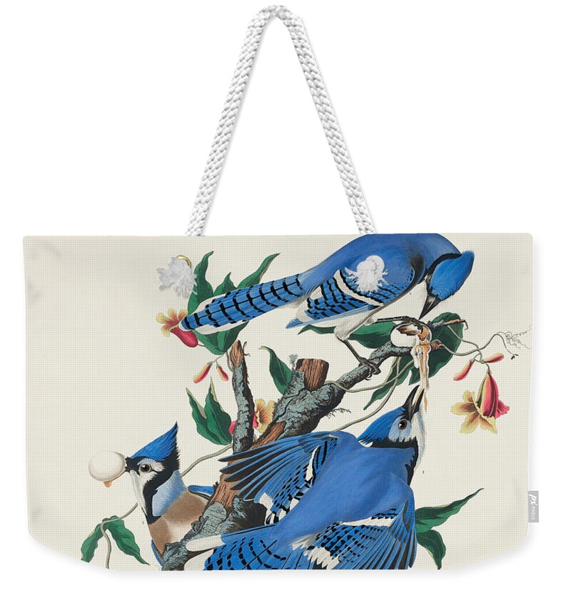 Blue Jay Weekender Tote Bag featuring the mixed media Blue Jay. John James Audubon by World Art Collective