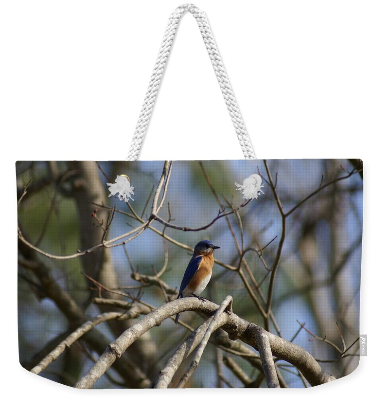  Weekender Tote Bag featuring the photograph Blue Lookout by Heather E Harman