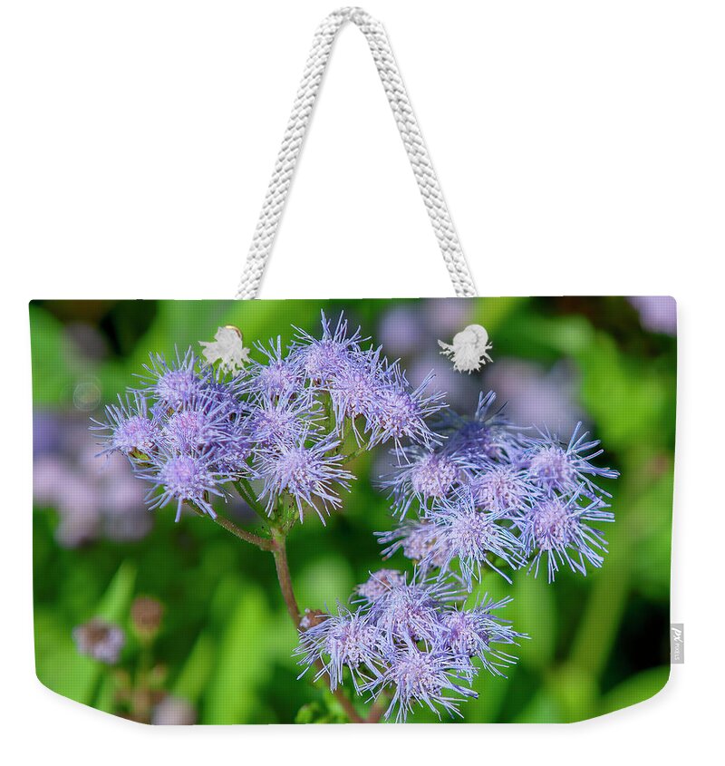 Aster Family Weekender Tote Bag featuring the photograph Blue Mistflower DFL1215 by Gerry Gantt