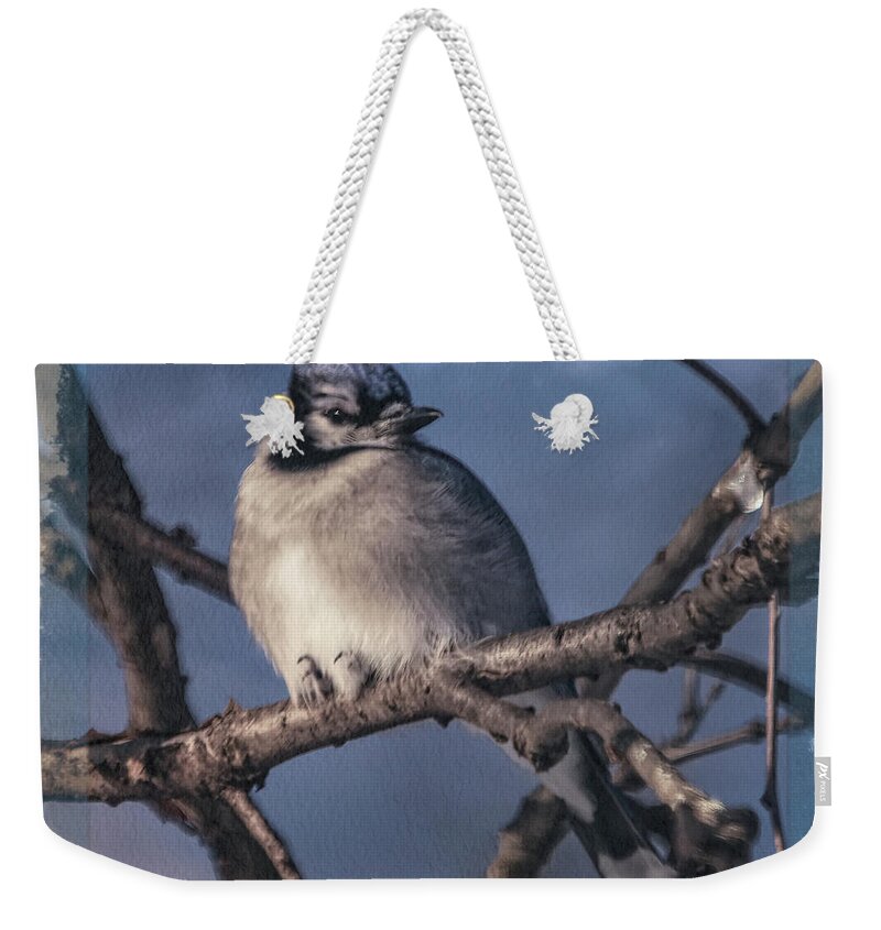  Weekender Tote Bag featuring the photograph Blue on Blue by Janice Pariza