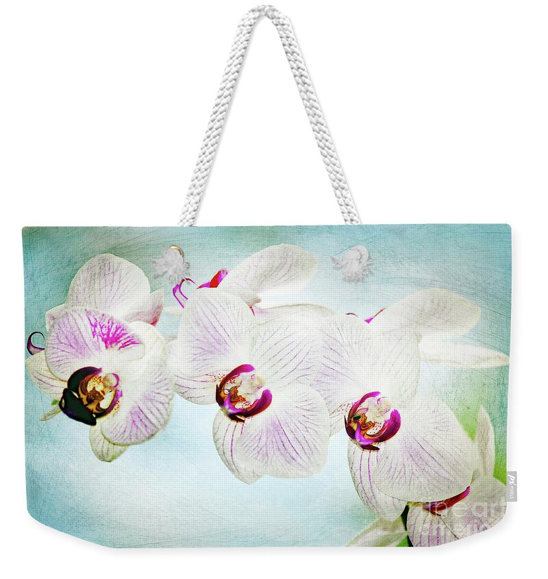 Orchid; Orchids; Purple Orchid; Purple Orchids; Flower; Purple; Purple Flower; Photography; Digital Art; Flowers; Floral; Flora; Digital Art; Photography; Blue; Green; Simple; Decorative; Décor; Macro; Close-up Weekender Tote Bag featuring the photograph Blue Orchid Arch by Tina Uihlein