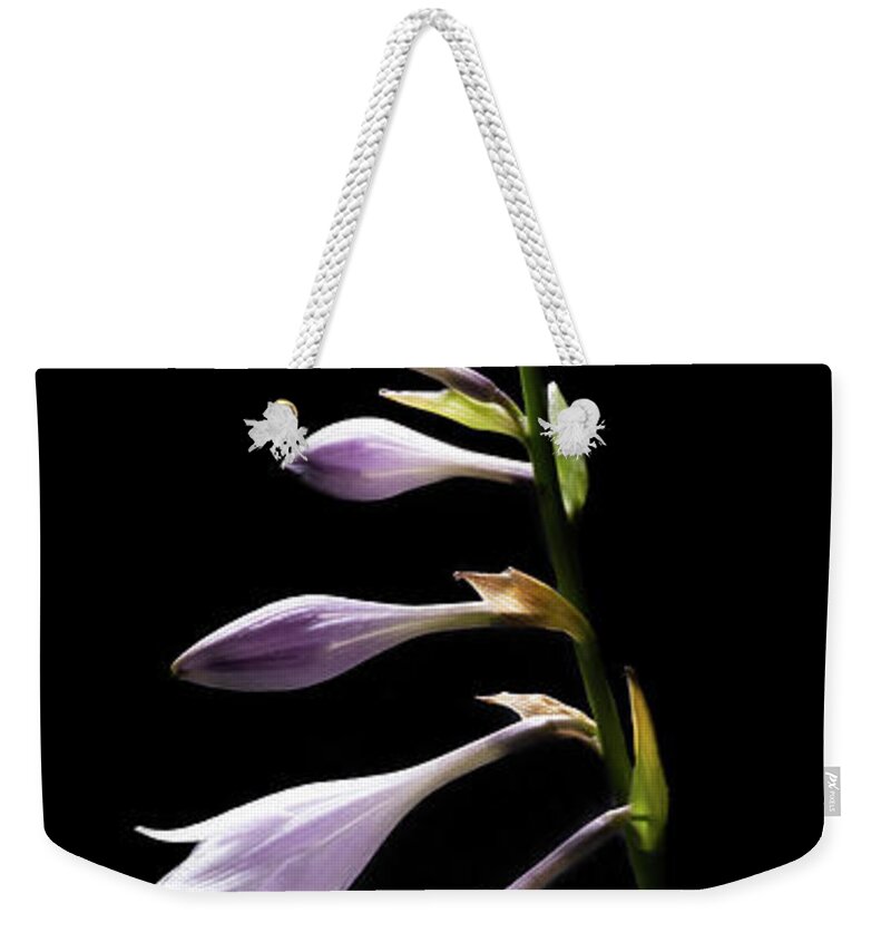Blue Plantain Lily Weekender Tote Bag featuring the photograph Blue Plantain Lily 2 by Kevin Suttlehan