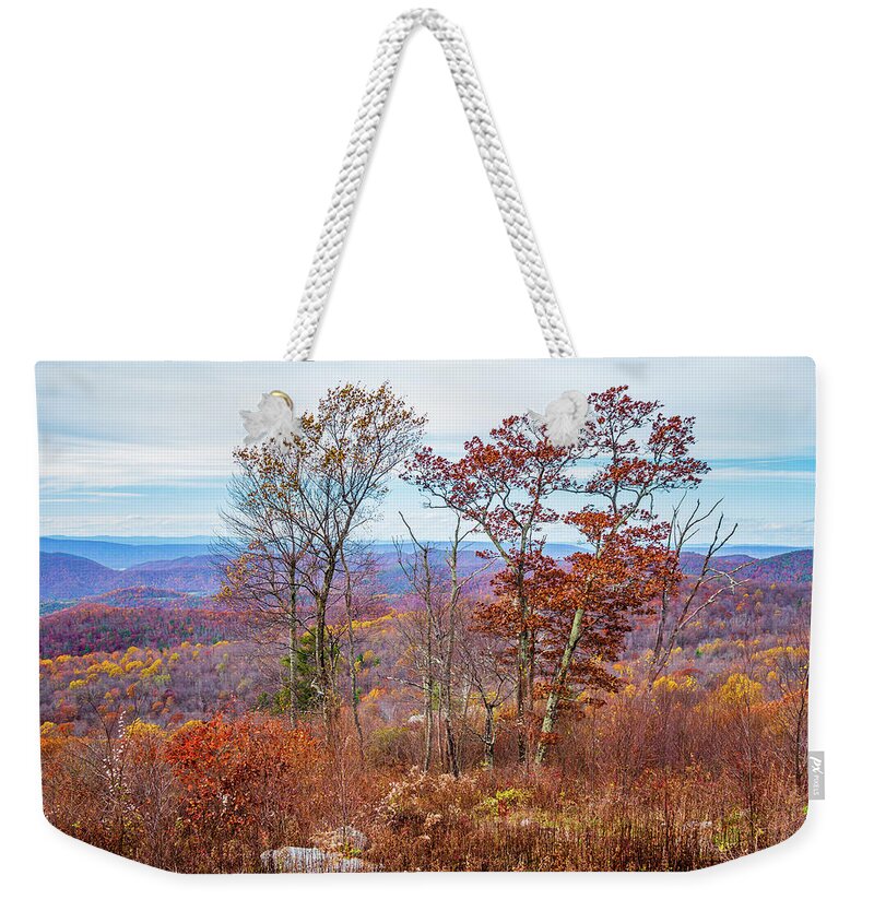 Mountains Weekender Tote Bag featuring the photograph Blue Ridge Trees in Fall by Rachel Morrison