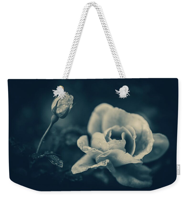 Rose Weekender Tote Bag featuring the photograph Blue Rose by Naomi Maya
