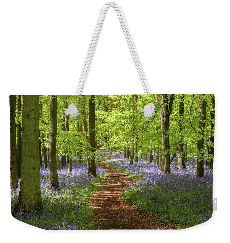 Ashridge Estate Weekender Tote Bag featuring the photograph Bluebells, Dockey Wood, England by Sarah Howard