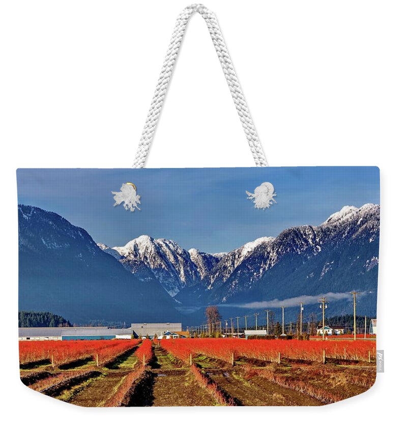 Alex Lyubar Weekender Tote Bag featuring the photograph Blueberry plantation in a mountain valley by Alex Lyubar