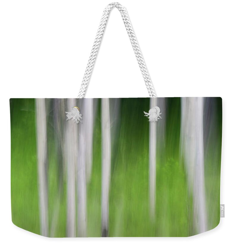Jordan Lake Weekender Tote Bag featuring the photograph Blurred Reflection by Melissa Southern
