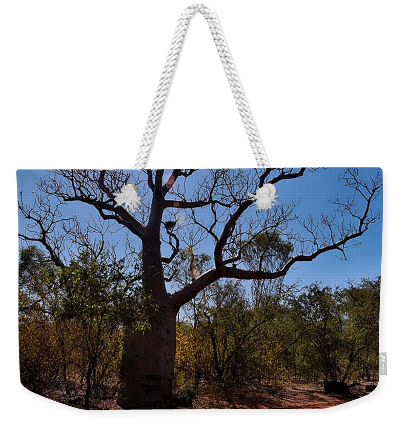 Boab Weekender Tote Bag featuring the photograph Boab by Andrei SKY