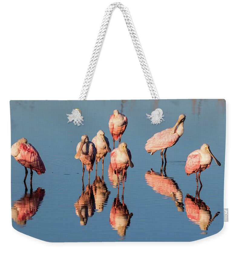 Roseate Spoonbill Weekender Tote Bag featuring the photograph Board Meeting by Jim Miller