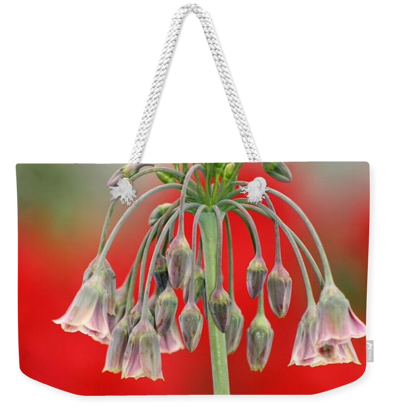Flowers Weekender Tote Bag featuring the photograph Bokeh Bloom by Kimberly Furey