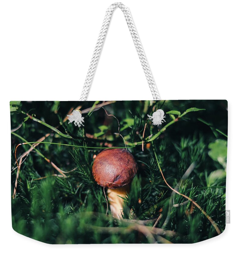 Czech Republic Weekender Tote Bag featuring the photograph Boletus pinophilus has found a place in beautiful green moss by Vaclav Sonnek
