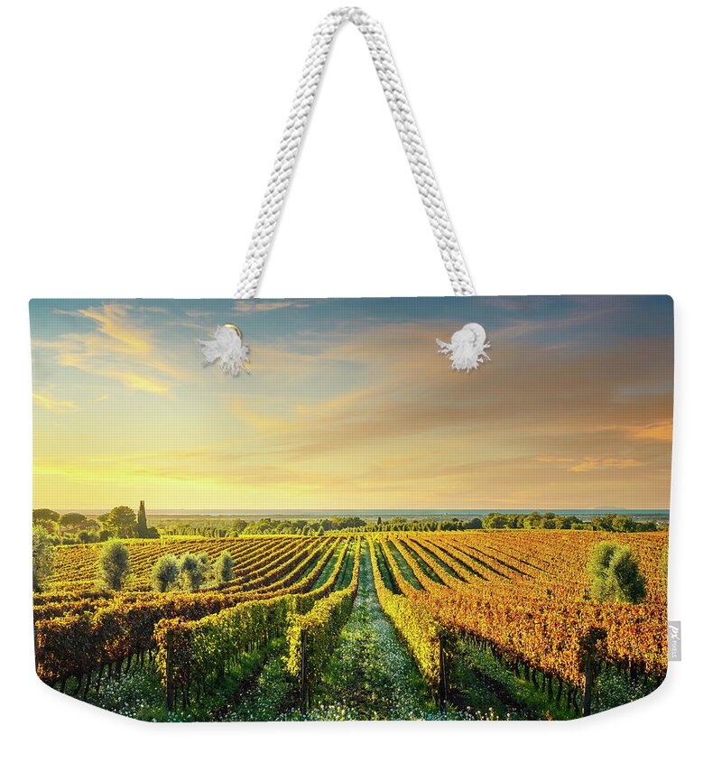 Bolgheri Weekender Tote Bag featuring the photograph Bolgheri vineyard at sunset. Tuscany by Stefano Orazzini