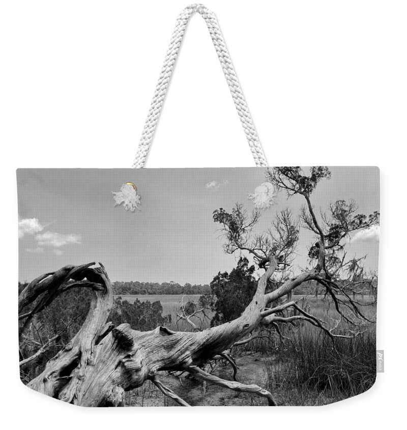Tree Weekender Tote Bag featuring the photograph Bones on the Savannah BW by Lee Darnell
