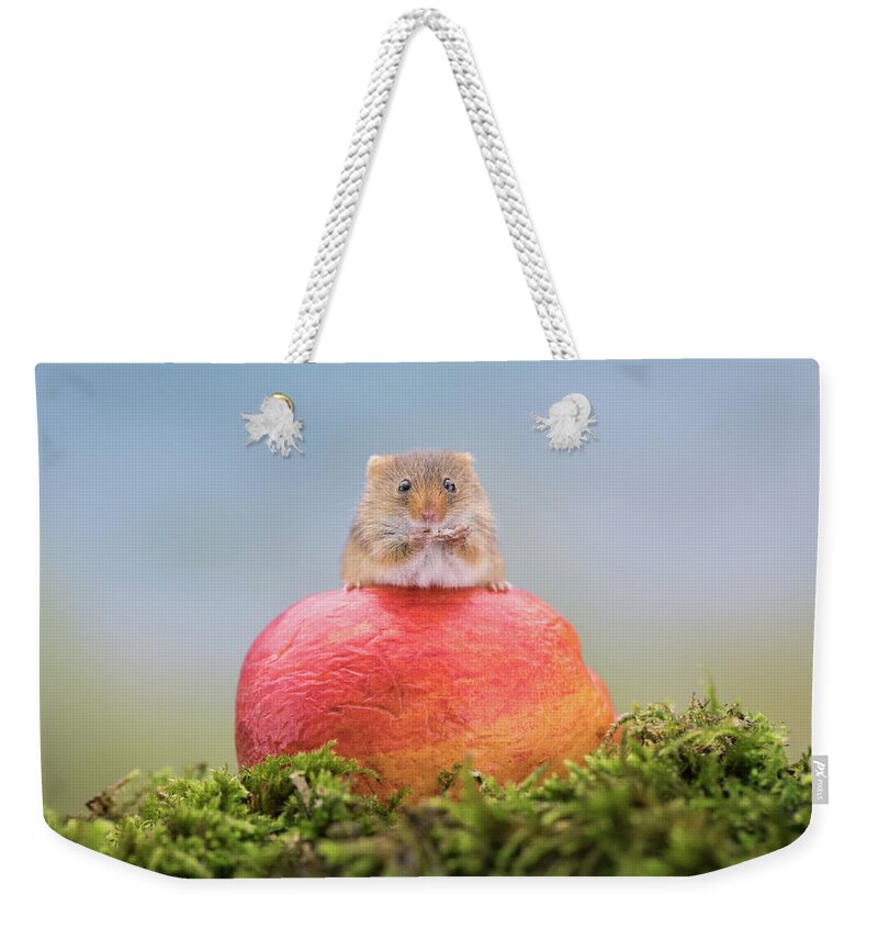 Cute Weekender Tote Bag featuring the photograph Boss mouse by Erika Valkovicova